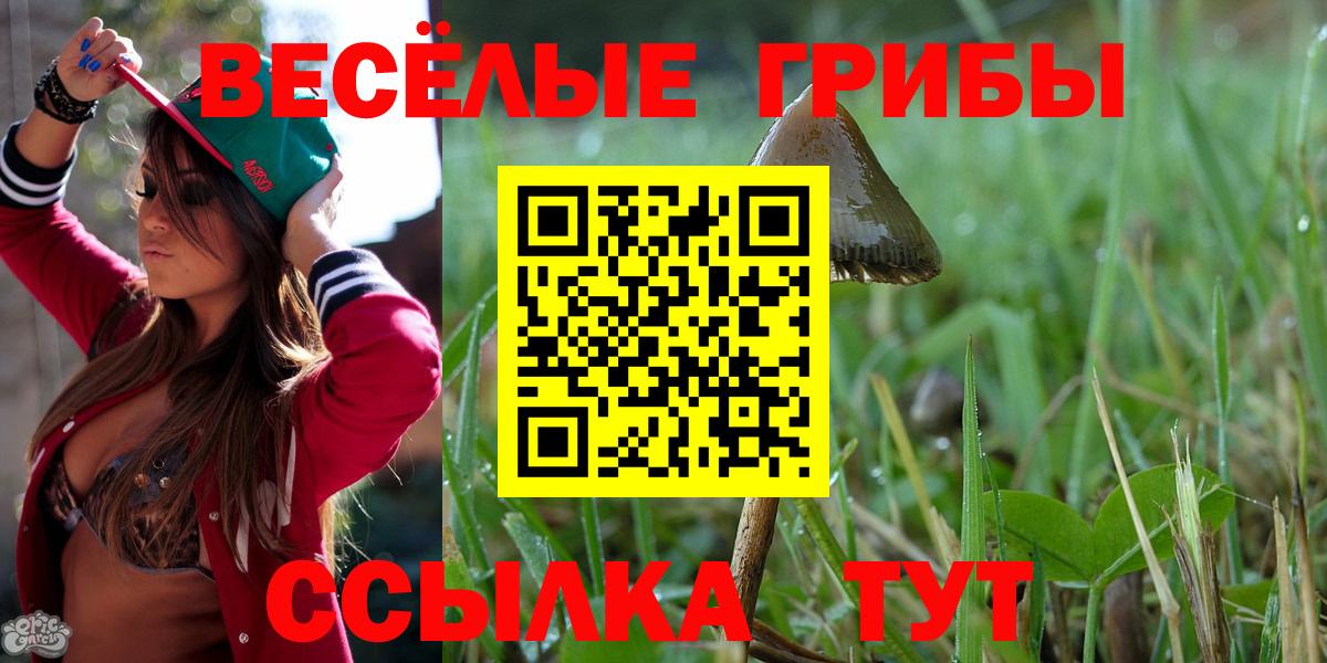 Галлюциногенные грибы Cubensis  Вход с VPN  Сухой Лог 