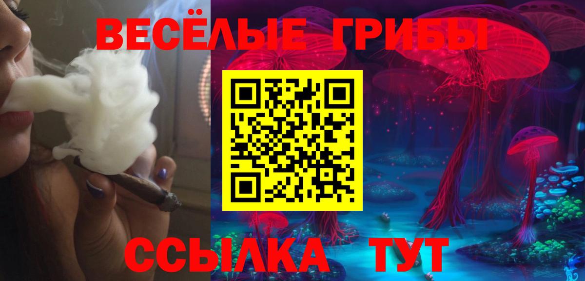 Галлюциногенные грибы Cubensis Сухой Лог